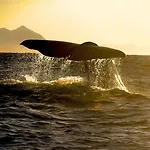 Tysfjord Turistsenter