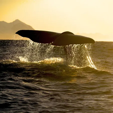 Tysfjord Turistsenter