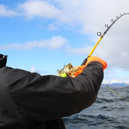 Hotell Tysfjord Turistsenter